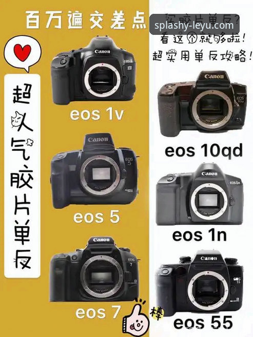 乐鱼电竞最新版本v1.3.2功能详解与使用说明