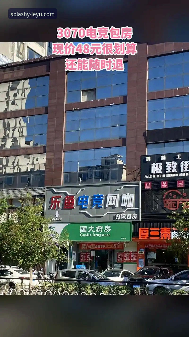 揭秘乐鱼电竞赛事平台：v3.2.1版本背后的竞技生态与用户真实体验
